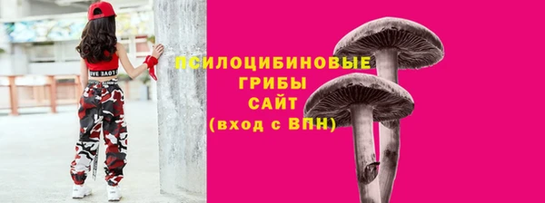 ГАЛЛЮЦИНОГЕННЫЕ ГРИБЫ Волоколамск