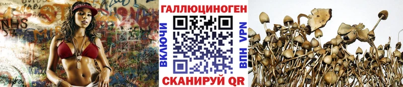 omg tor  Амурск  Псилоцибиновые грибы MAGIC MUSHROOMS  магазин  наркотиков 
