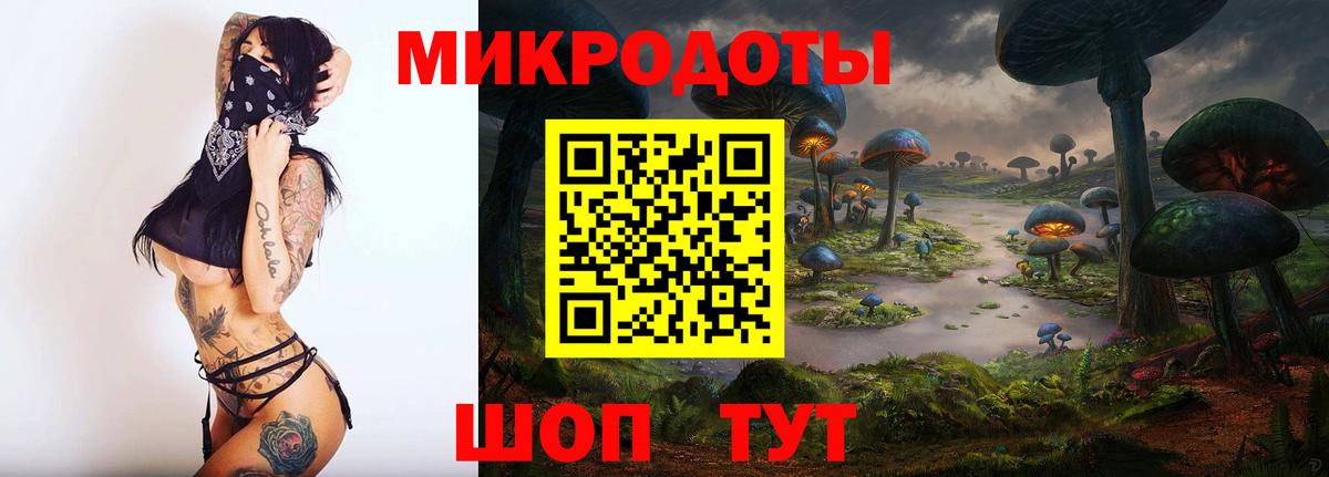 где можно купить наркотик  Галлюциногенные грибы Magic Shrooms  Амурск  Галлюциногенные грибы GOLDEN TEACHER 