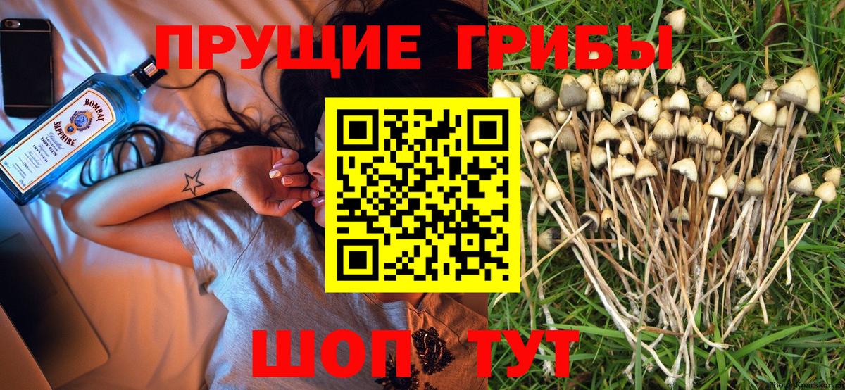 Амурск  Галлюциногенные грибы ЛСД  цены наркотик  Вход с VPN  Галлюциногенные грибы Psilocybine cubensis 